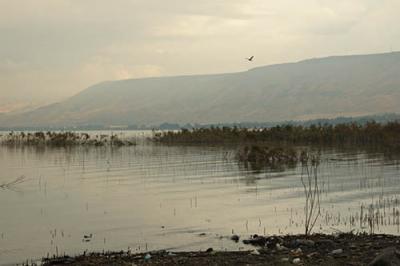 A misty morning at the Sea of Galilee
