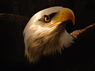 g3/30/278830/3/88116646.MQhoJLw8.jpg