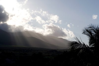 10429- Hawaii-09.jpg