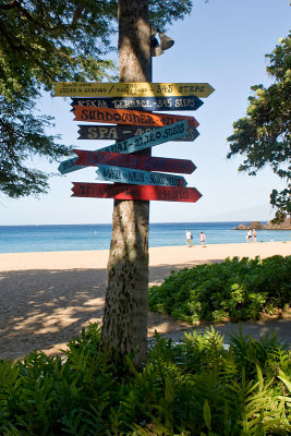 10435- Hawaii-09.jpg