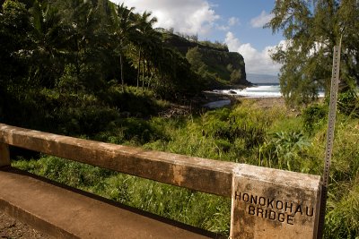 11044- Hawaii-09.jpg