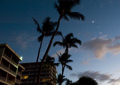 10638- Hawaii-09.jpg
