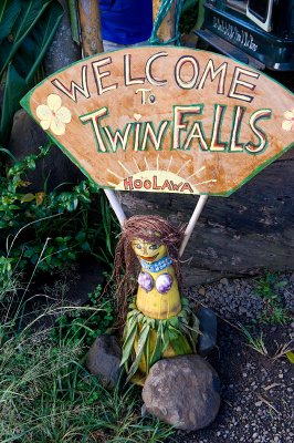 10690- Hawaii-09.jpg
