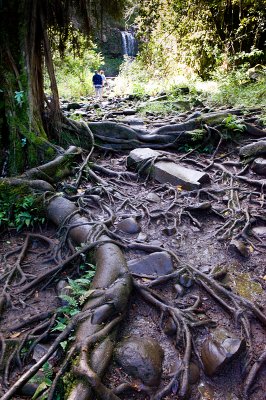 10704- Hawaii-09.jpg