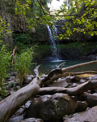 10705- Hawaii-09.jpg