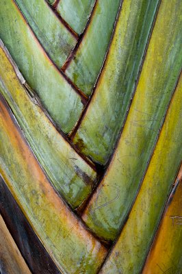 10762- Hawaii-09.jpg