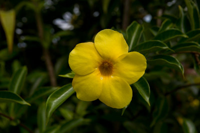 10765- Hawaii-09.jpg