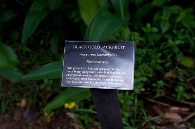 10821- Hawaii-09.jpg