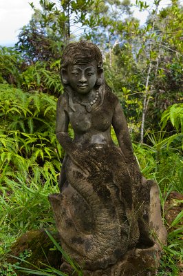 10835- Hawaii-09.jpg
