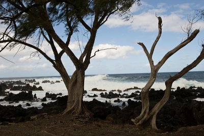 10890- Hawaii-09.jpg