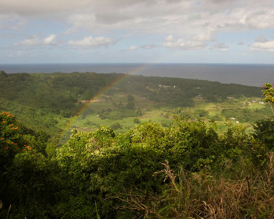 10913- Hawaii-09.jpg