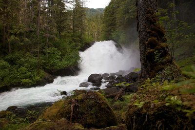 On Cascade Creek trail