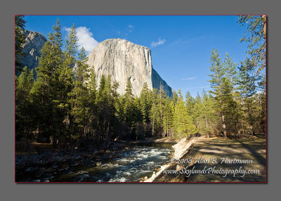 Yosemite National Park