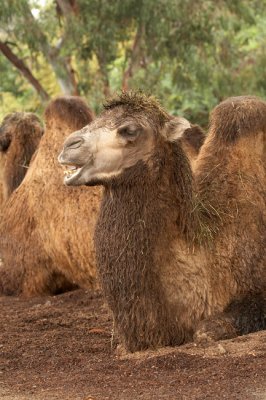 zoo_2131.jpg
