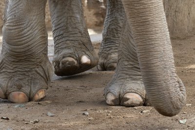 zoo_2149.jpg