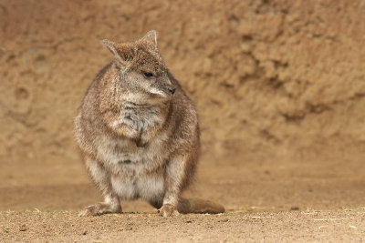zoo_2140.jpg