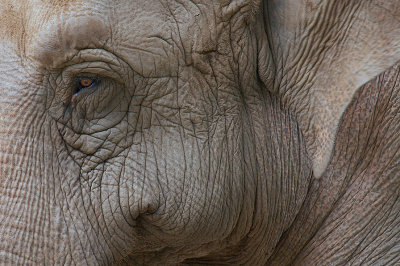 zoo_2162.jpg
