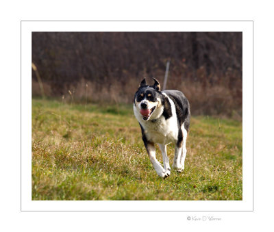 PB091712A