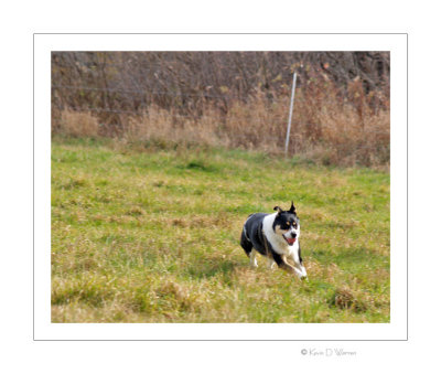 PB091709A