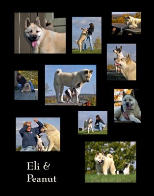 Eli (& Peanut)