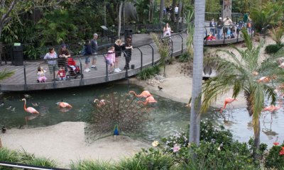 San Diego Zoo