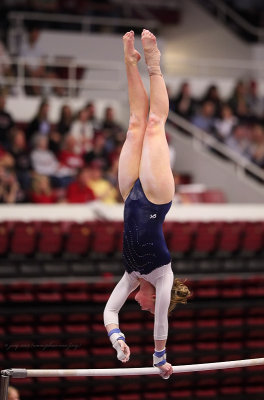 Women Gymnastics - Stanford Quad Meet