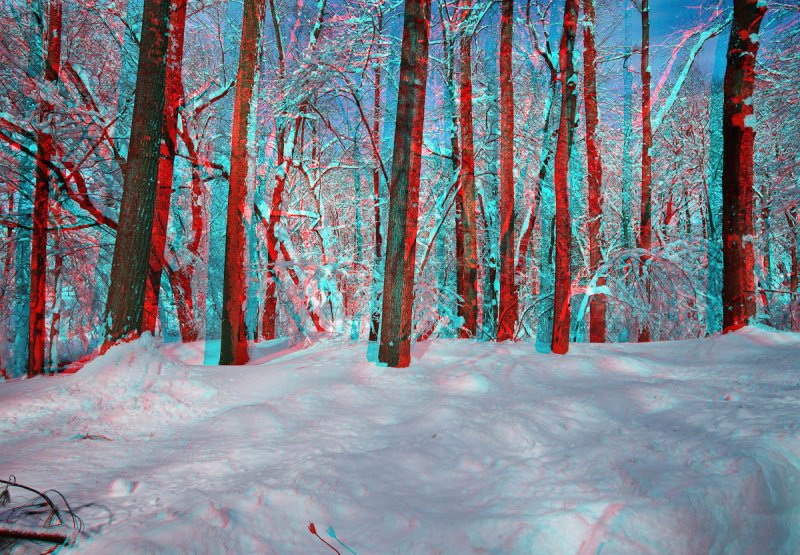 The blizzard of February 2010
