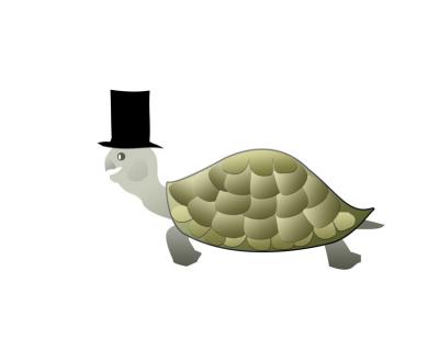 g3/30/467730/3/58328703.Turtlejpg.jpg