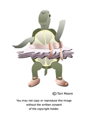 Homework Lesson One - Would a Turtle Wear a Tutu