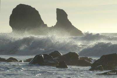 Whale Rock Surf (01-24-06)