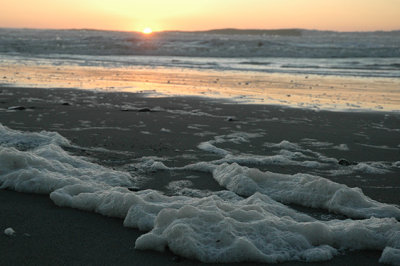 Sunset Sea Foam