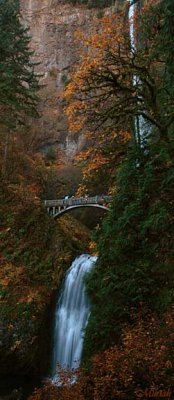 Multnomah Falls Autumn