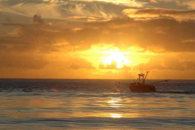 Sunset Catch