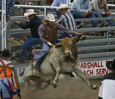 MORUYA RODEO