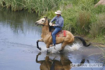 Snowy River Festival - NSW