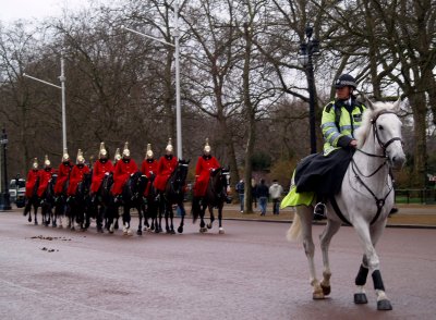 English Guard