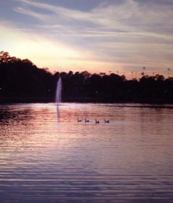 g3/30/496130/3/52790631.sunset.jpg
