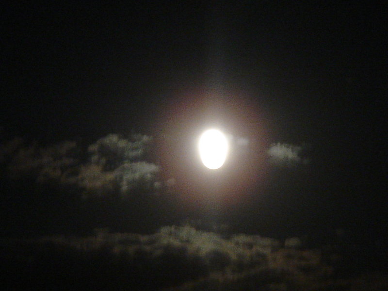 DSC00431.JPG