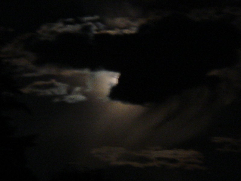 DSC00432.JPG