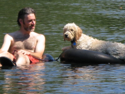 Danny Abrahamson with Ginger the dog