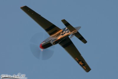 A Warbirds in Action, Minter 2008