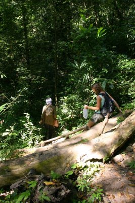 Hike to waterfall