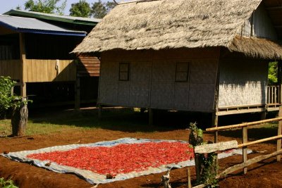 Tat Lo, southern Laos