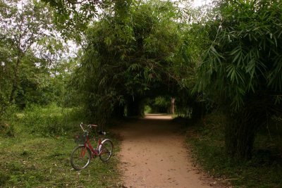 Bamboo tunnel, Don Khon - 4000 islands