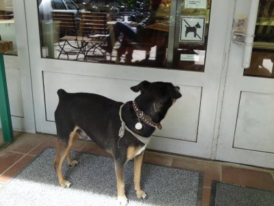 Why can't I go in?
