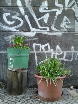 g3/30/514530/3/124404303.gpzRavSX.jpg