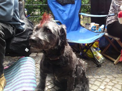 Boxhagener Platz flea market