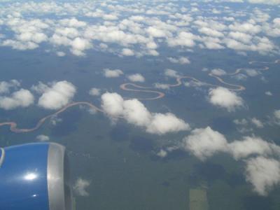 Jungle (Amazon Basin, Peru)