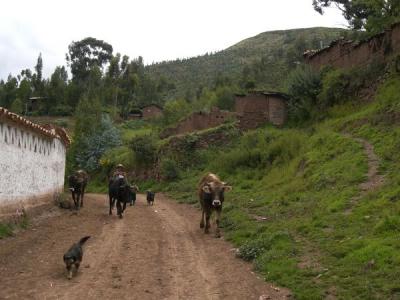 Huasao village