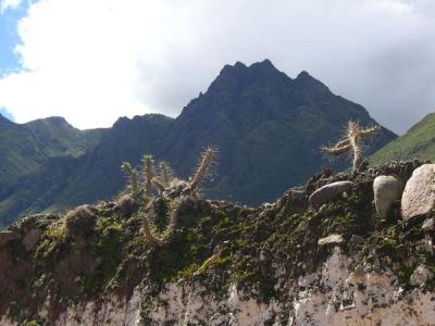 Pisac